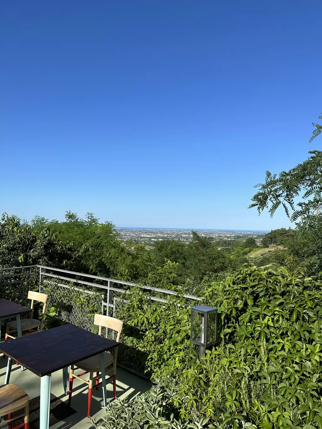 Immagine del ristorante 7275