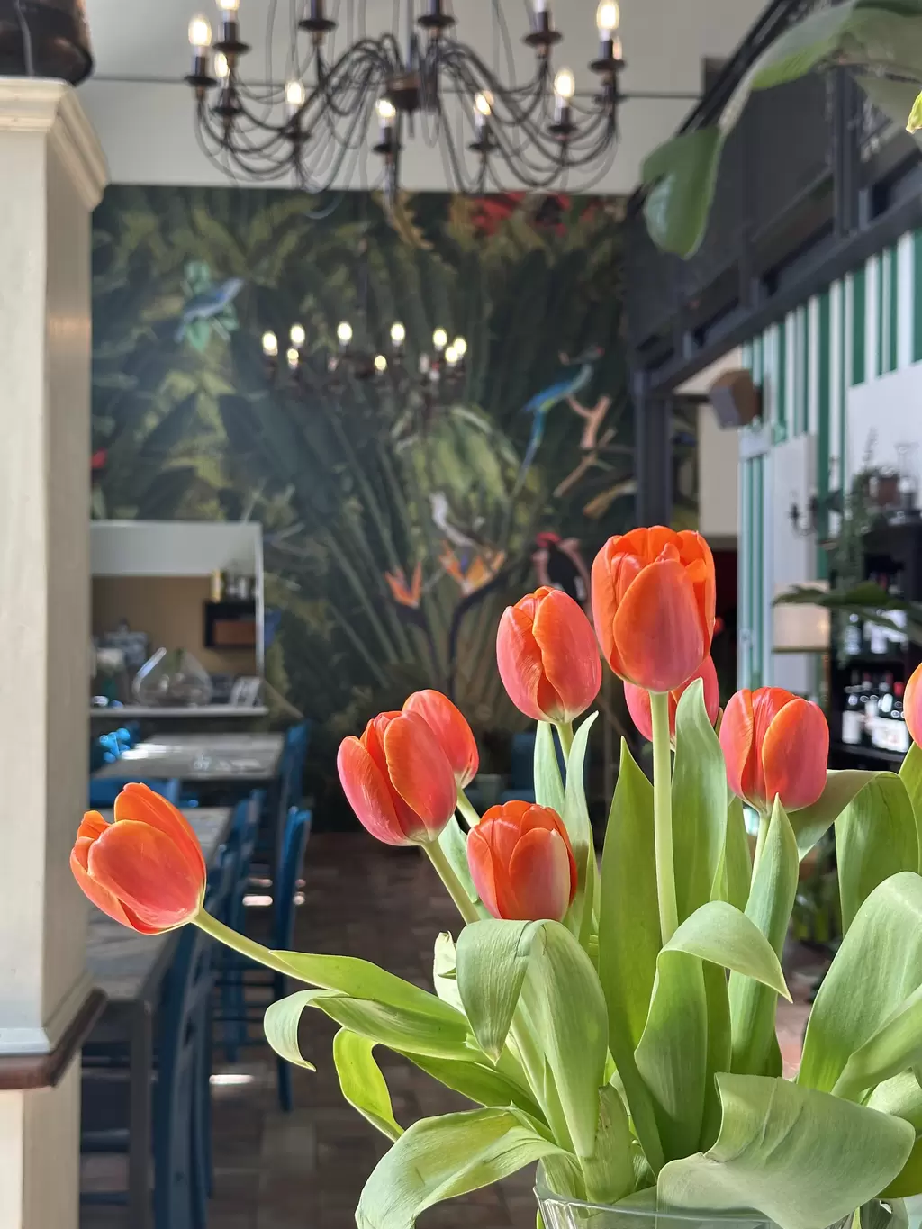 Immagine del ristorante 7277