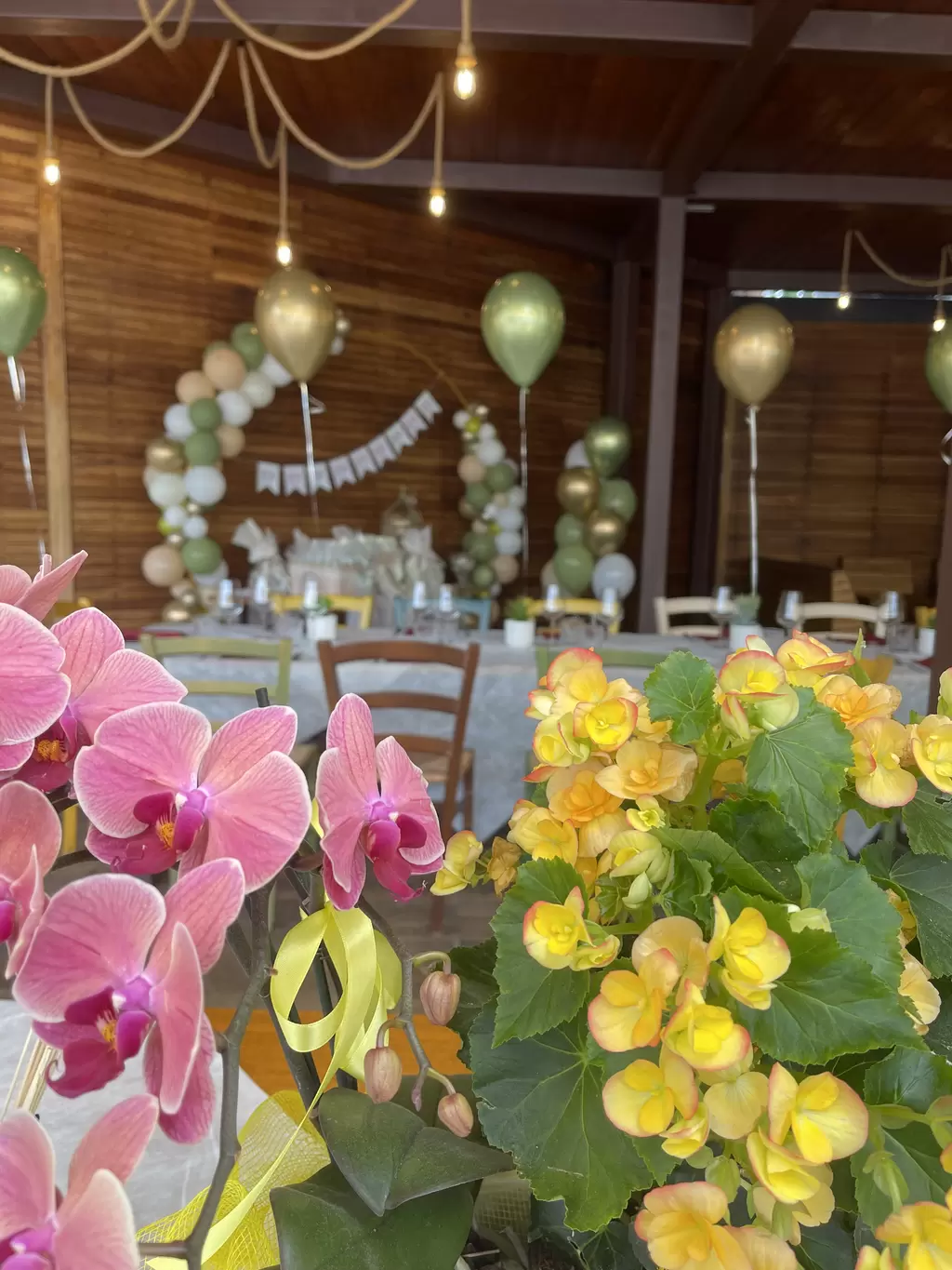 Immagine del ristorante 5079