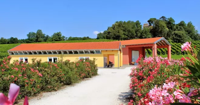 Restaurant image 1404