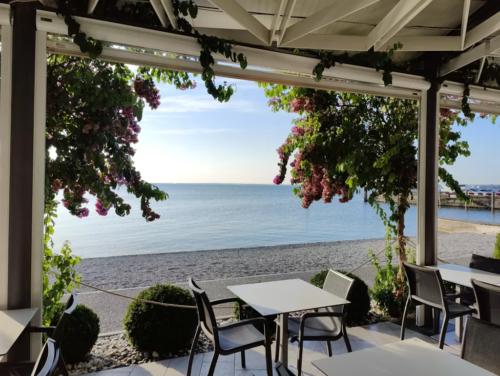 Restaurant image 1767