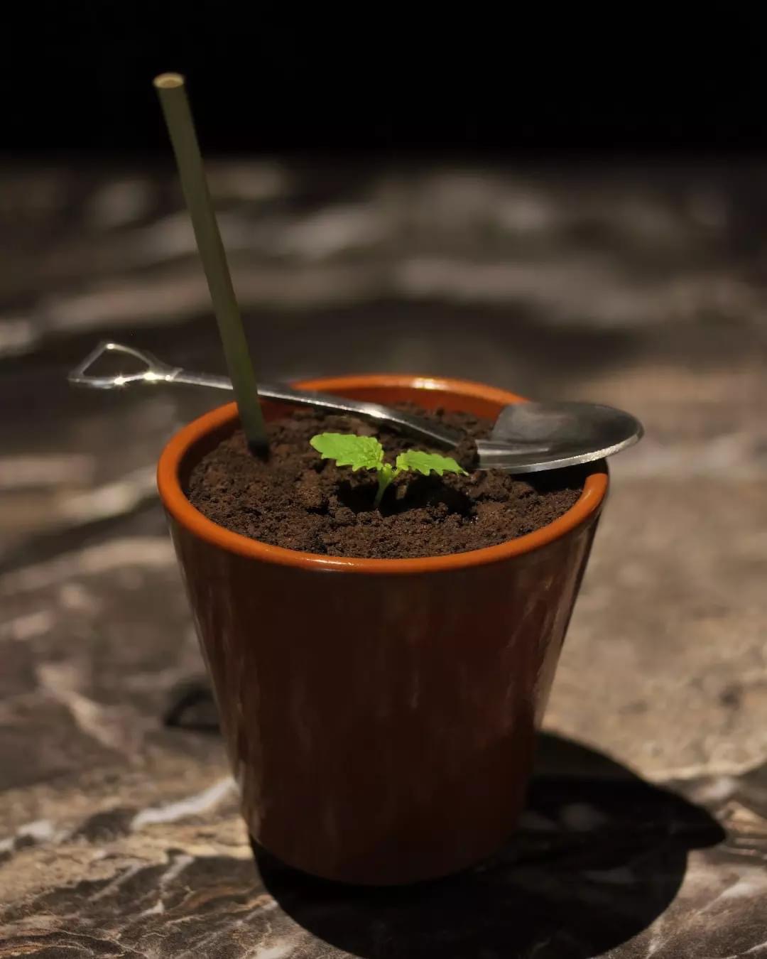 Imagen del restaurante 5180