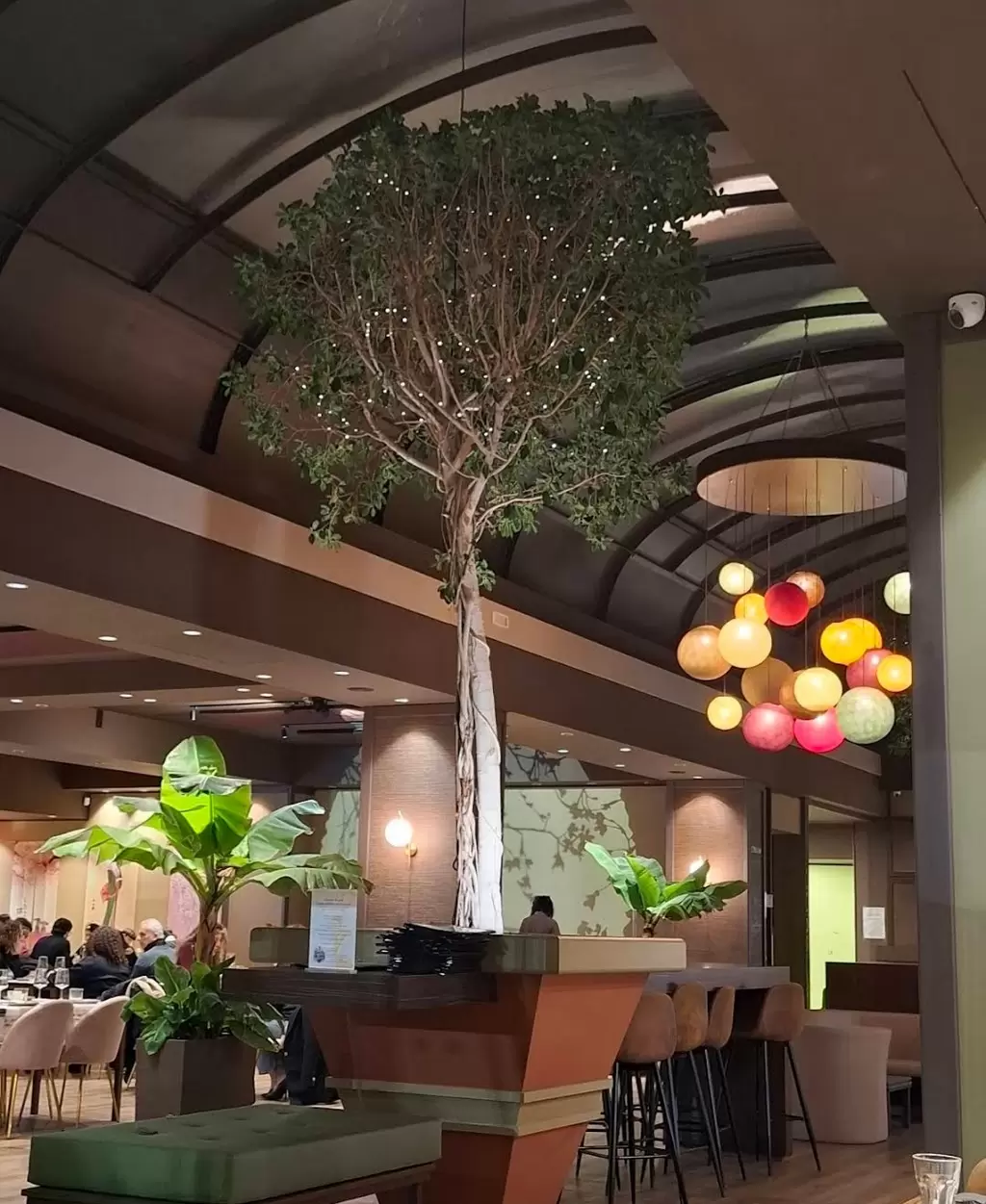 Immagine del ristorante 8224