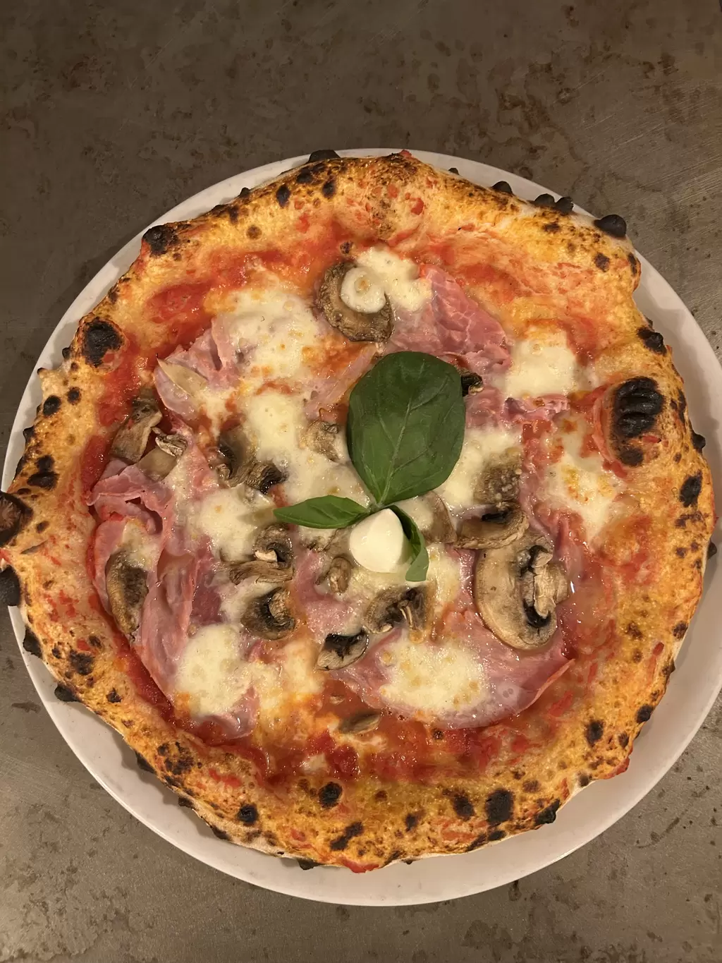 Imagen del restaurante 9024