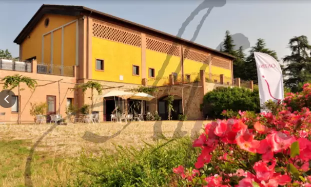 Immagine del ristorante 4275