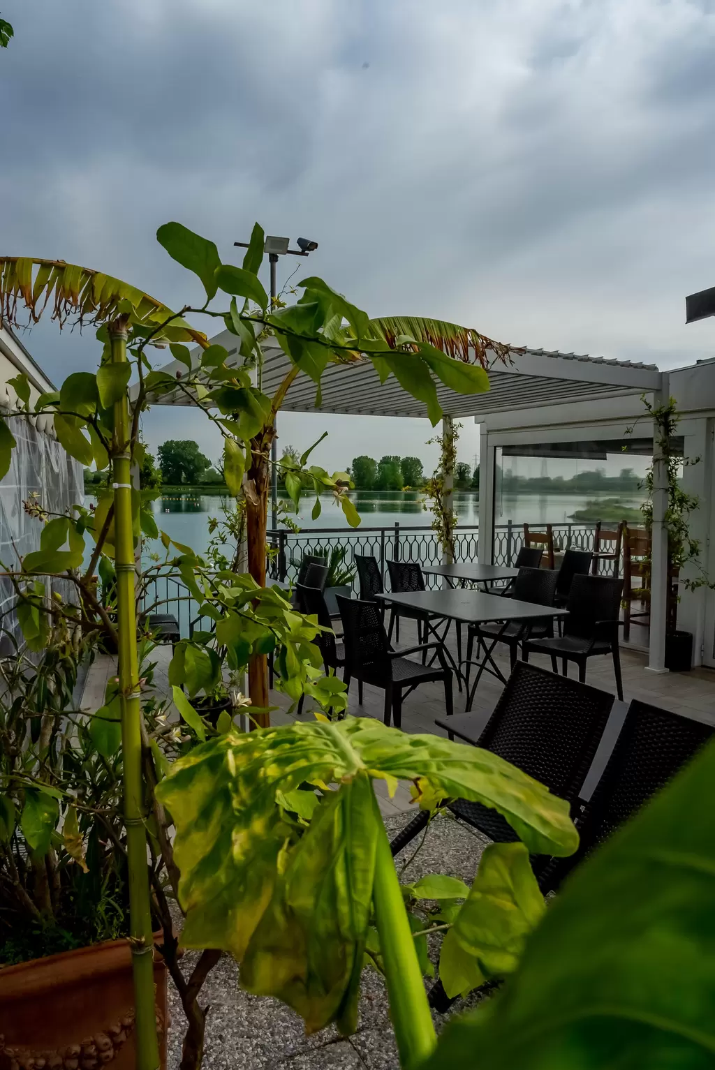 Immagine del ristorante 4457