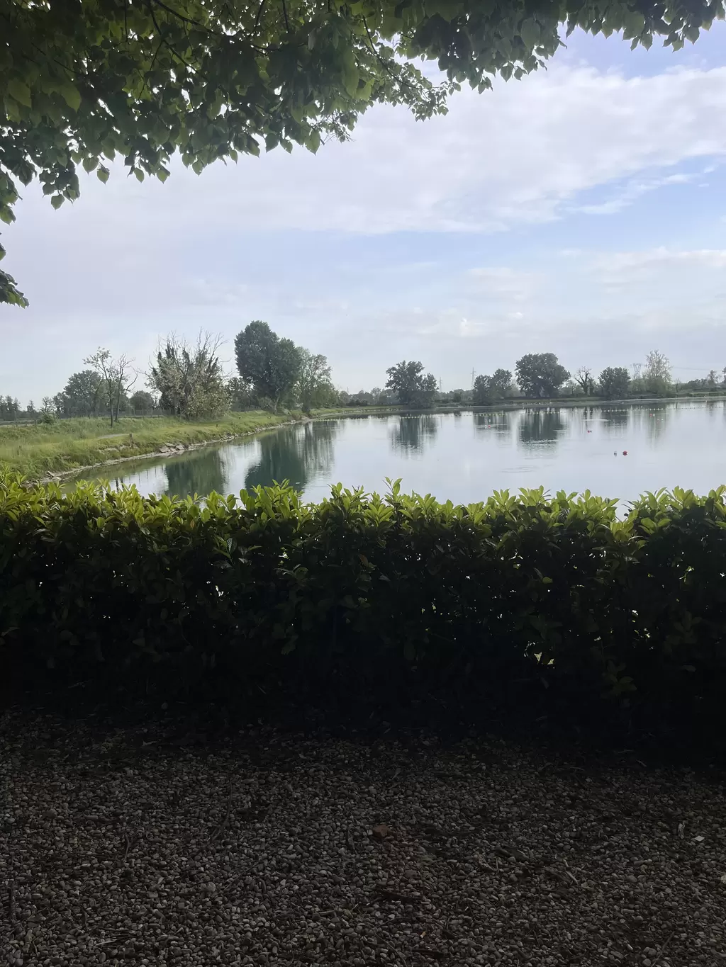 Immagine del ristorante 4458