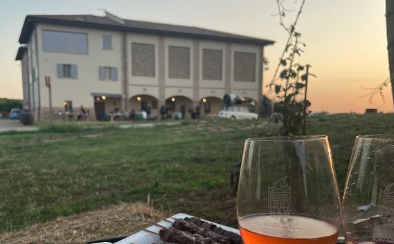CALICI AL TRAMONTO🎉🎉🥂🕺