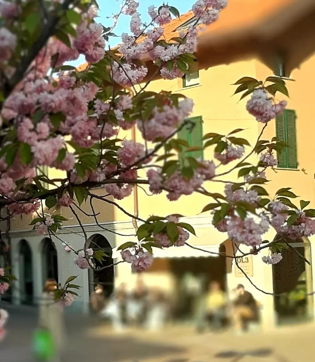 Immagine del ristorante 5313