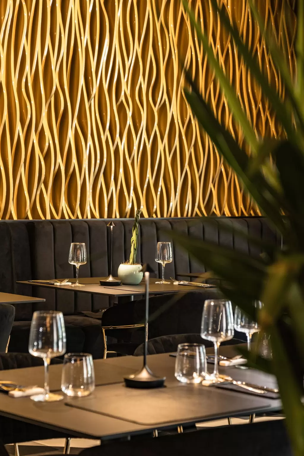Immagine del ristorante 6088