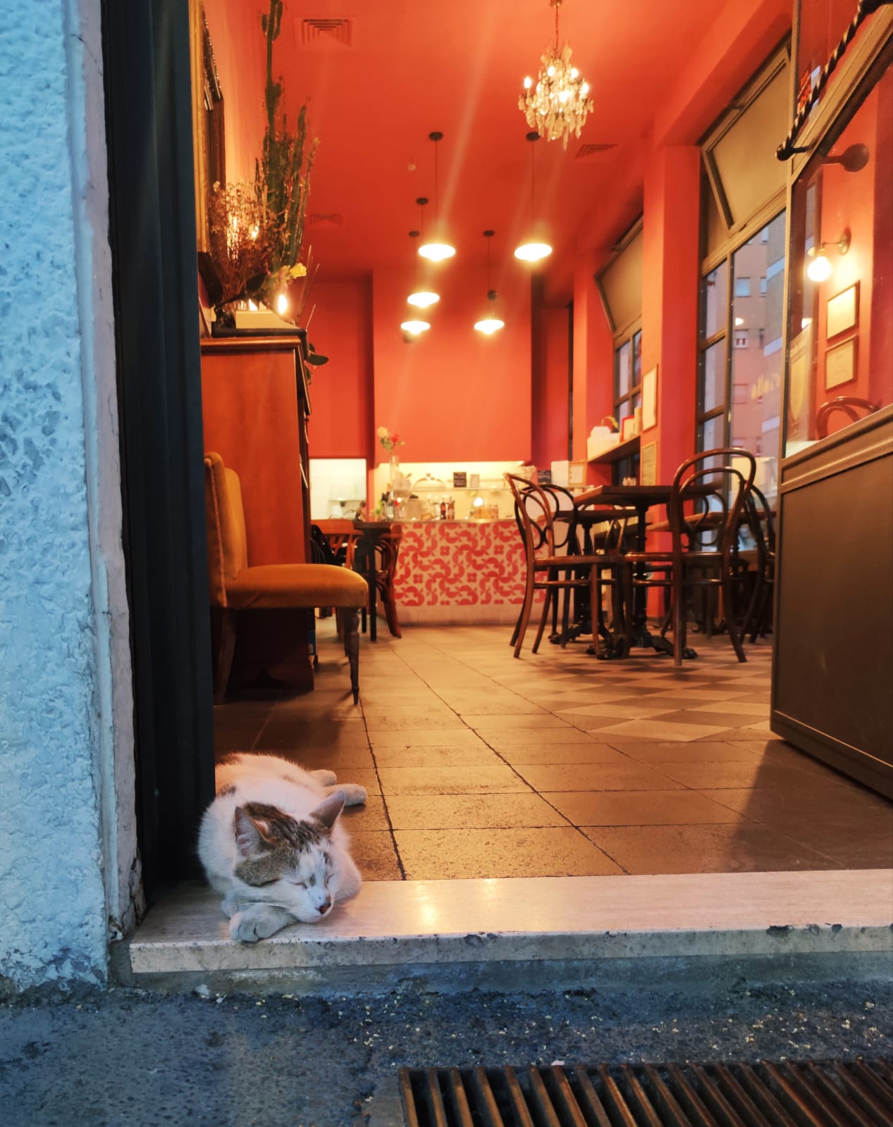 Imagen del restaurante 5627