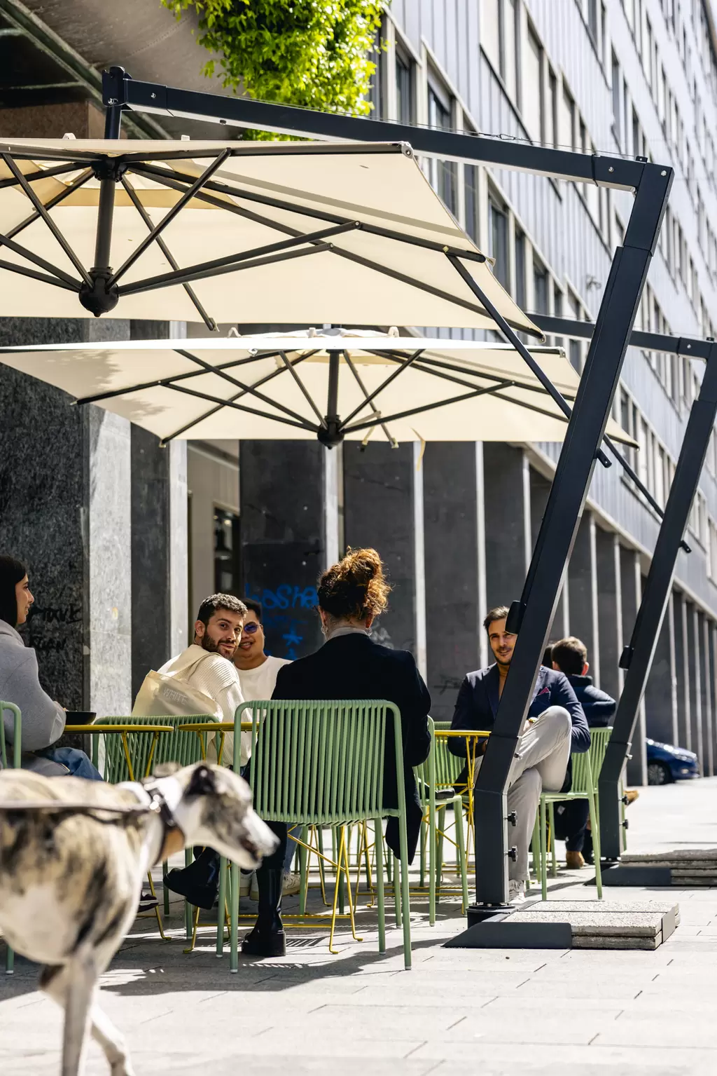 Restaurant image 6230