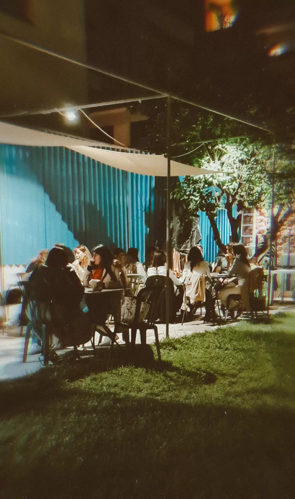 Immagine del ristorante 6732