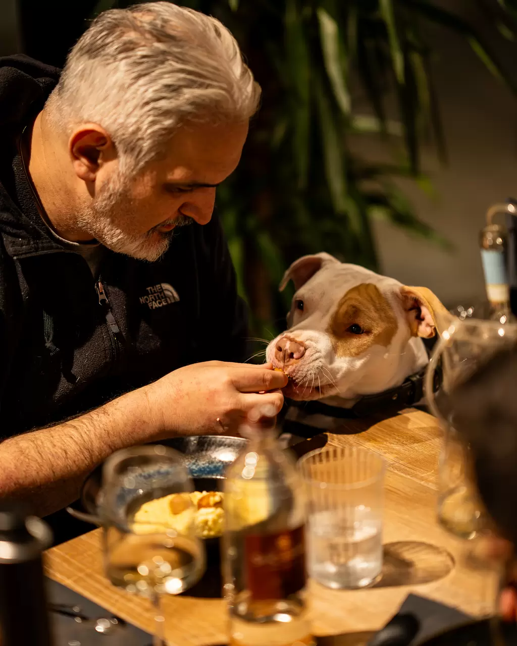 Immagine del ristorante 6605