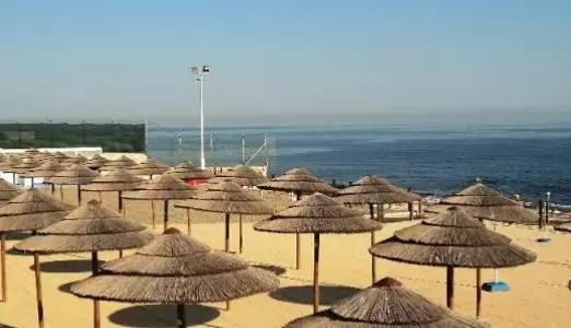 Restaurant image 7347