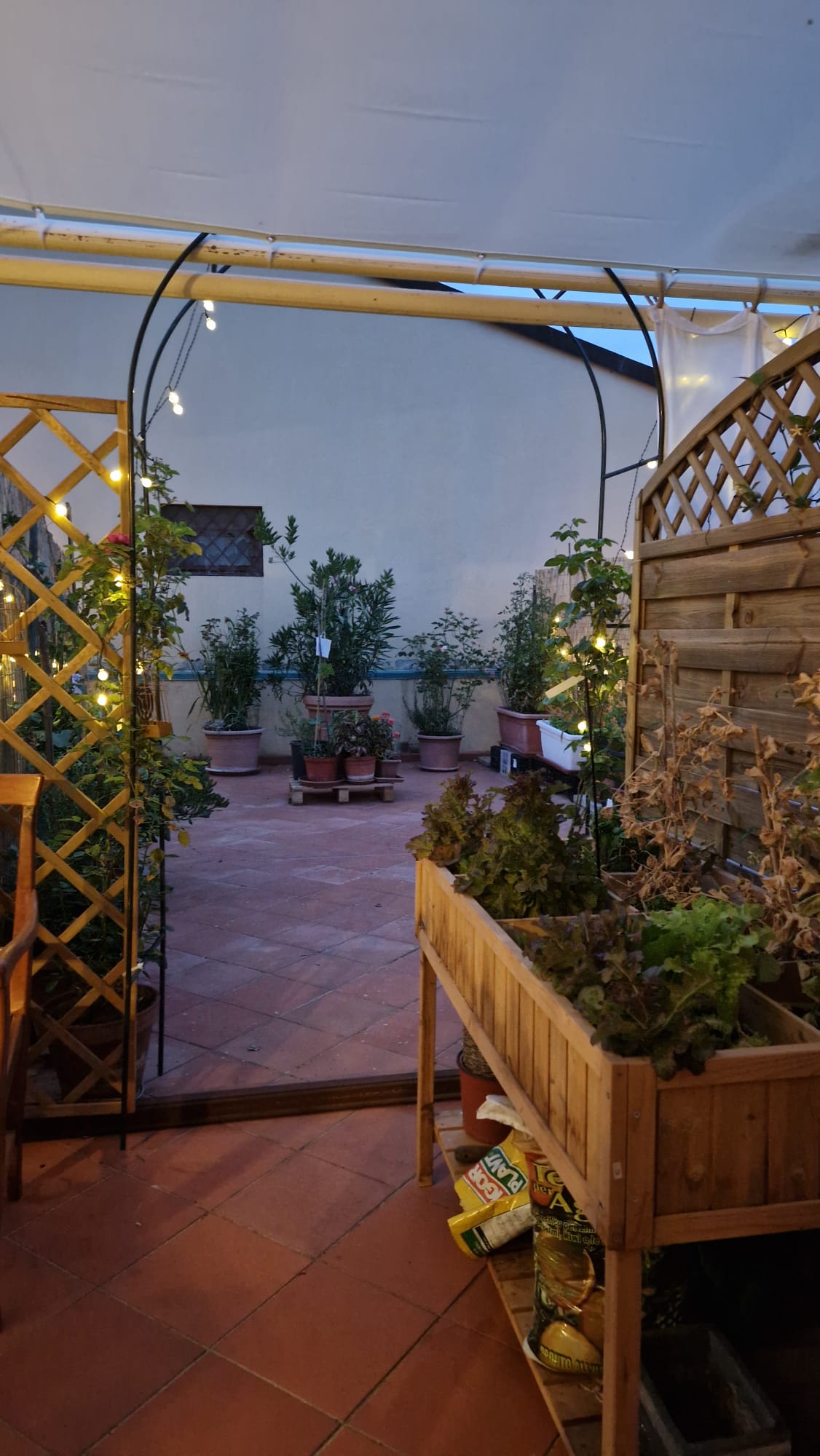 Imagen del restaurante 7757