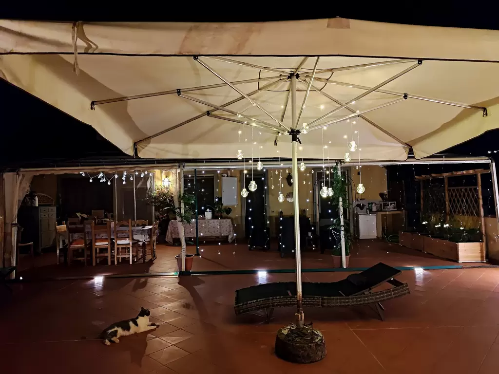 Imagen del restaurante 7749
