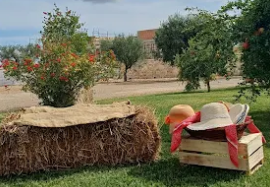 Festa della vendemmia
