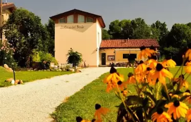 ALPACA & APERITIVO ?