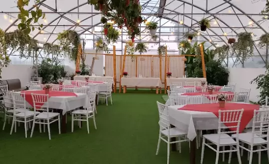 White Summer Party