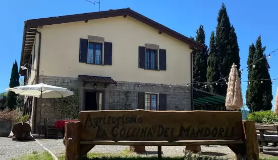 La collina dei mandorli