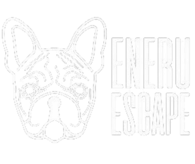Cena da Eneru Escape Room: 4 posti liberi