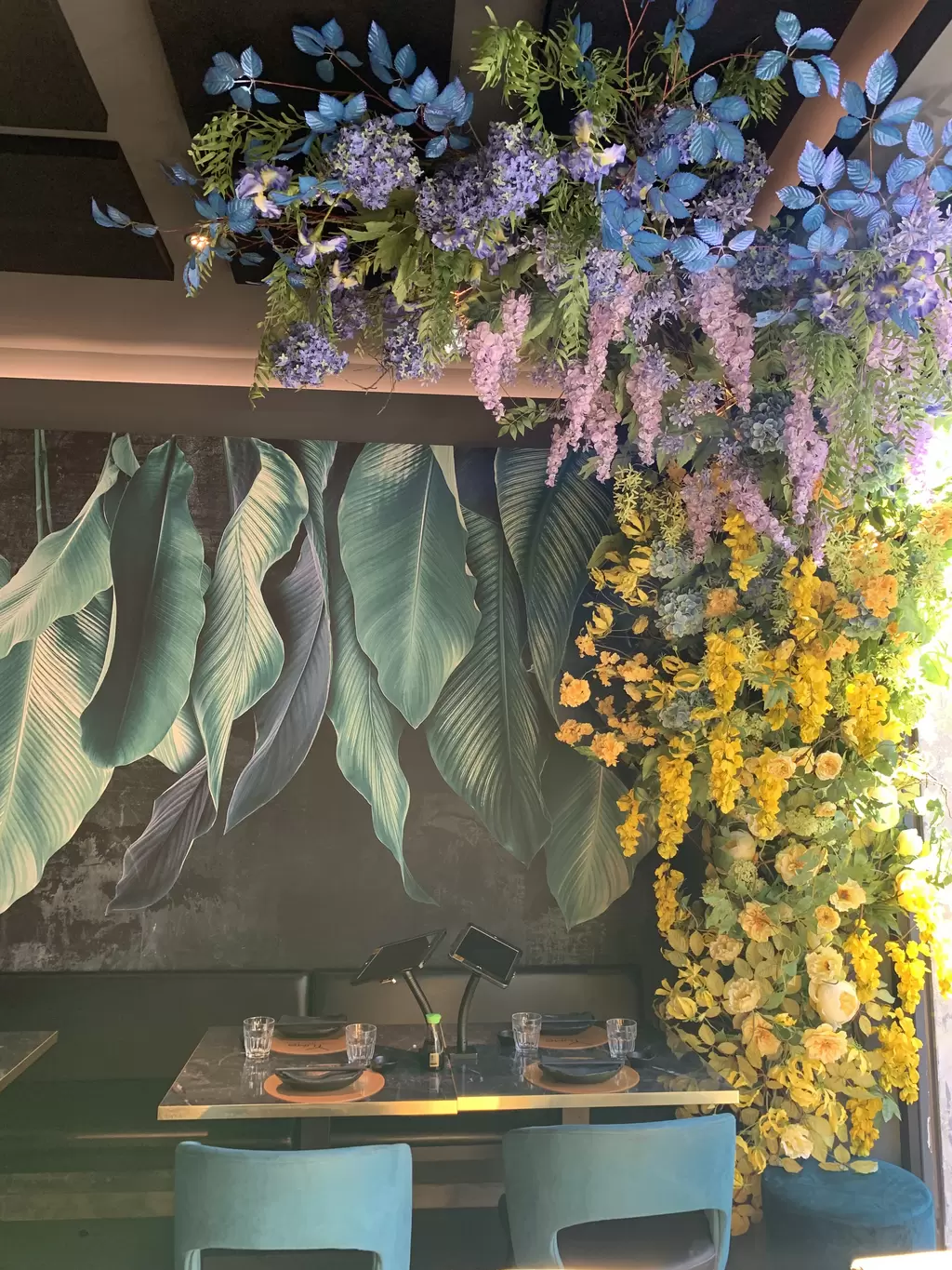 Immagine del ristorante 9349