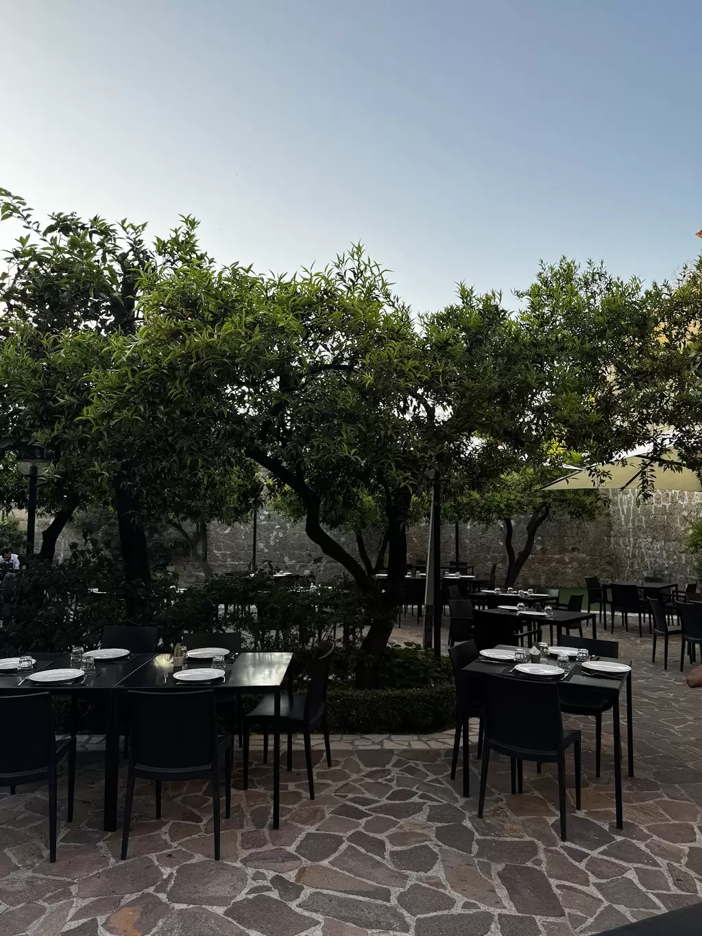 Cena "porta un amico single" da Cortenova Restaurant: 11 posti liberi