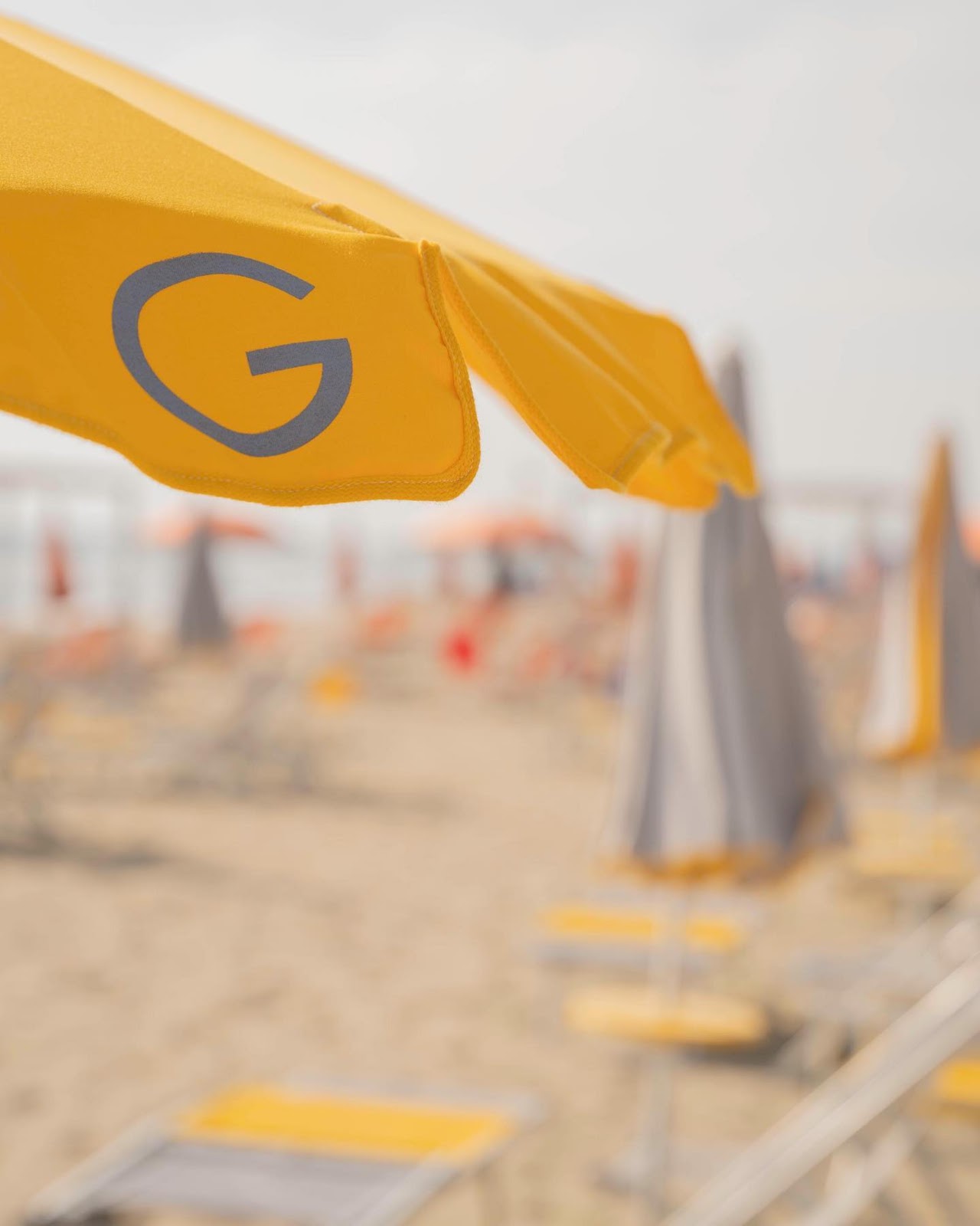 Serata al Giallo! 