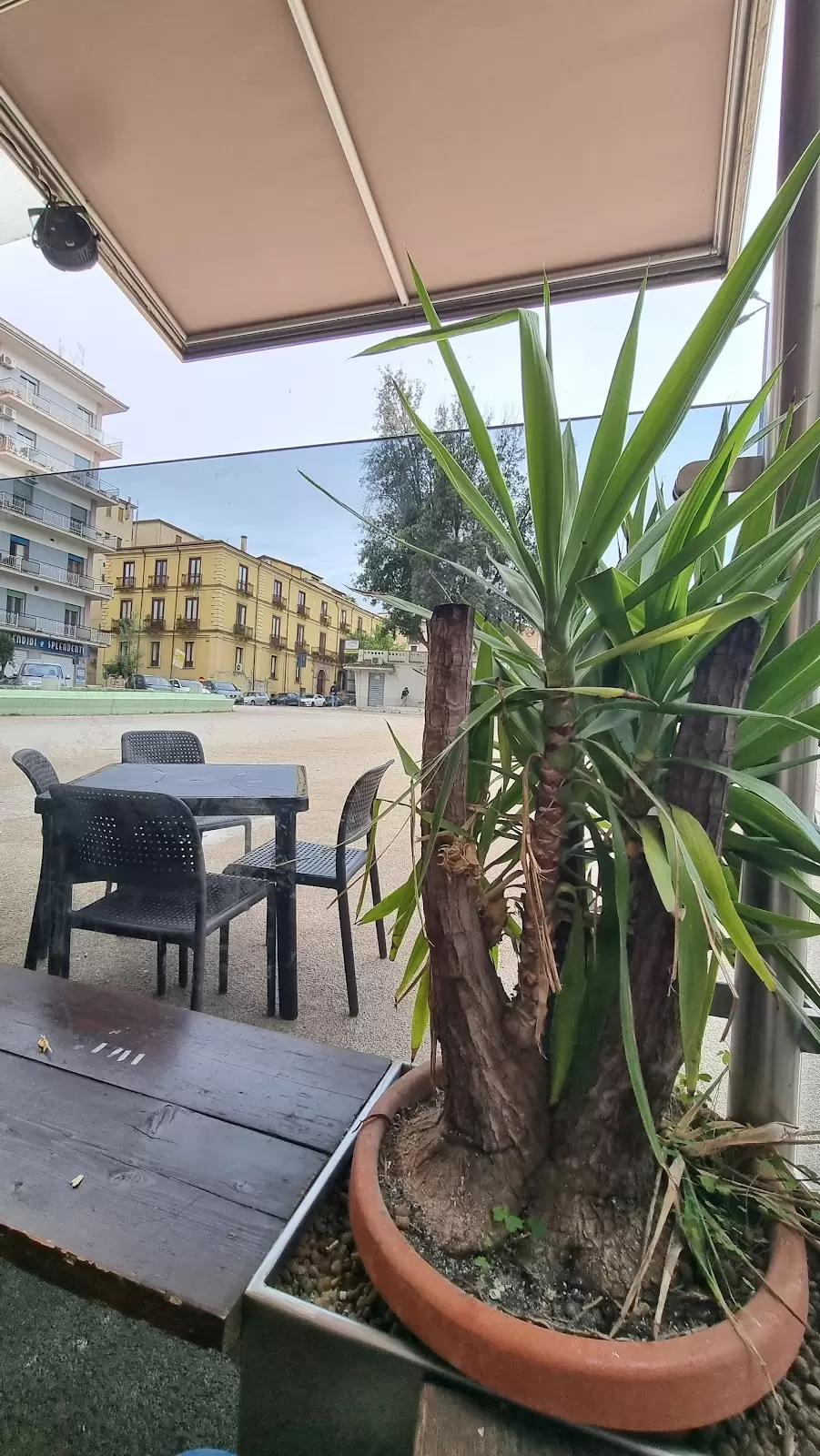 Scarpelli Cafè