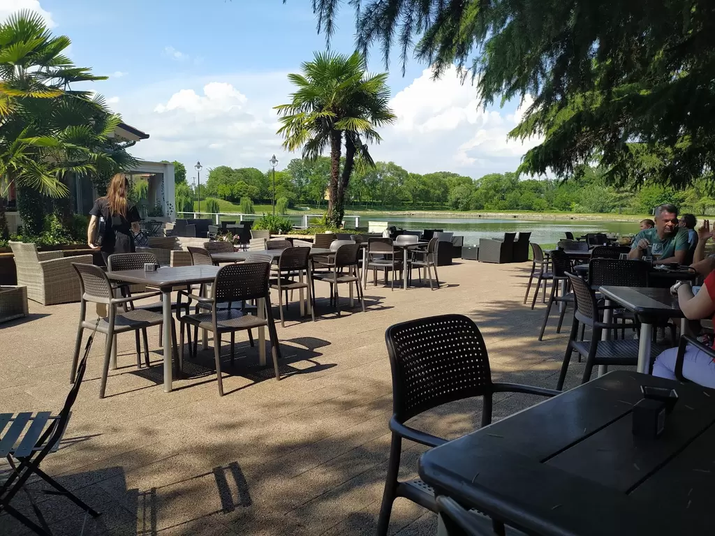 🌿 Libri al tramonto sul Sile