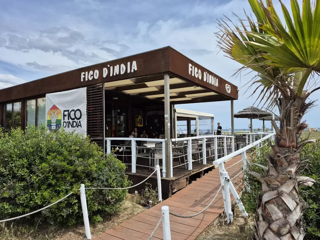 Fico d'India poetto