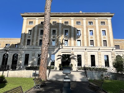 BrunchMusicPeople😎