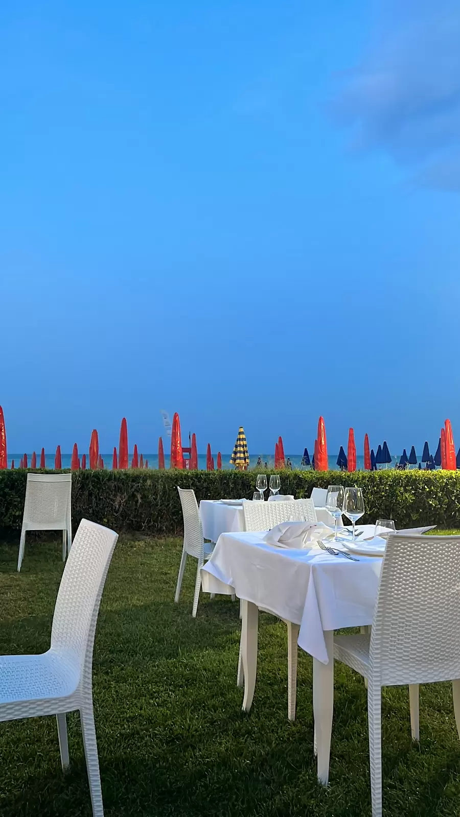 -20%sconto+F.RENGAconcerto
