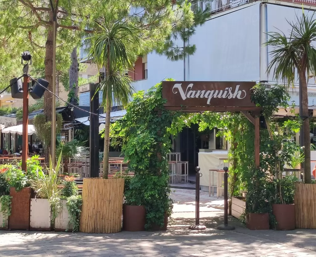 💎⭐️DRINK CHIC ESCLUSIVO💎⭐️