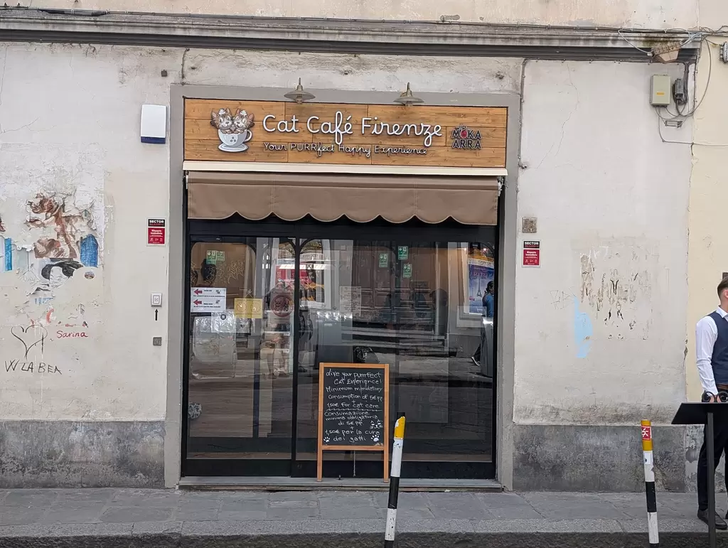 ✨? Gattini, Calici & Relax ?✨