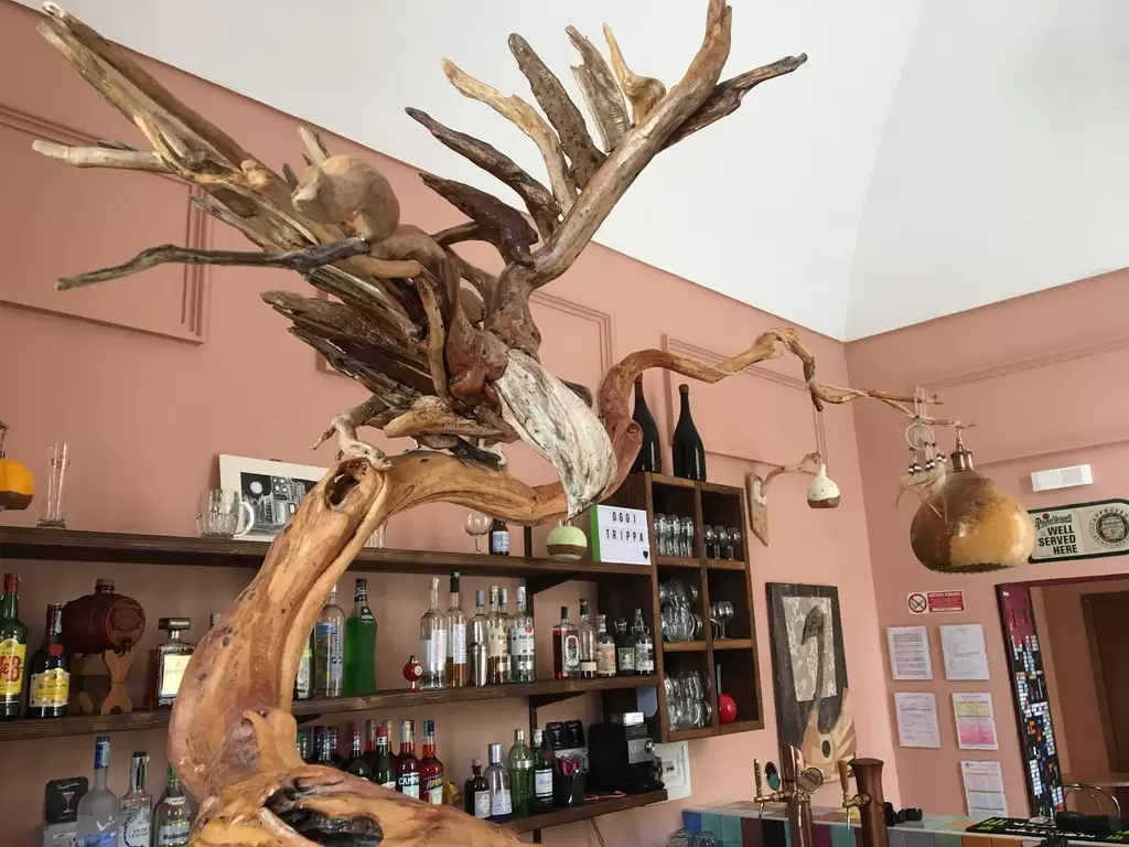 SONORA Art Music Drinks Food
