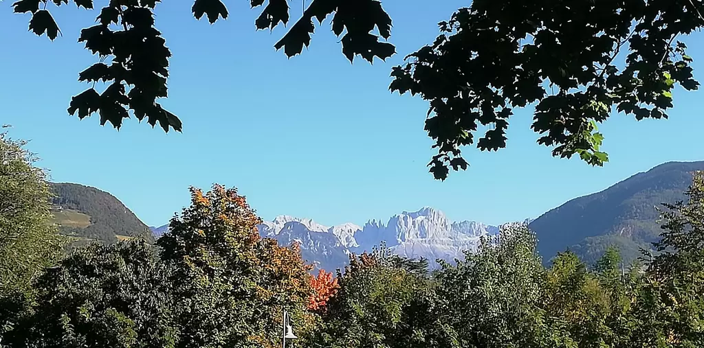 Brunch al Talvera da Pippo