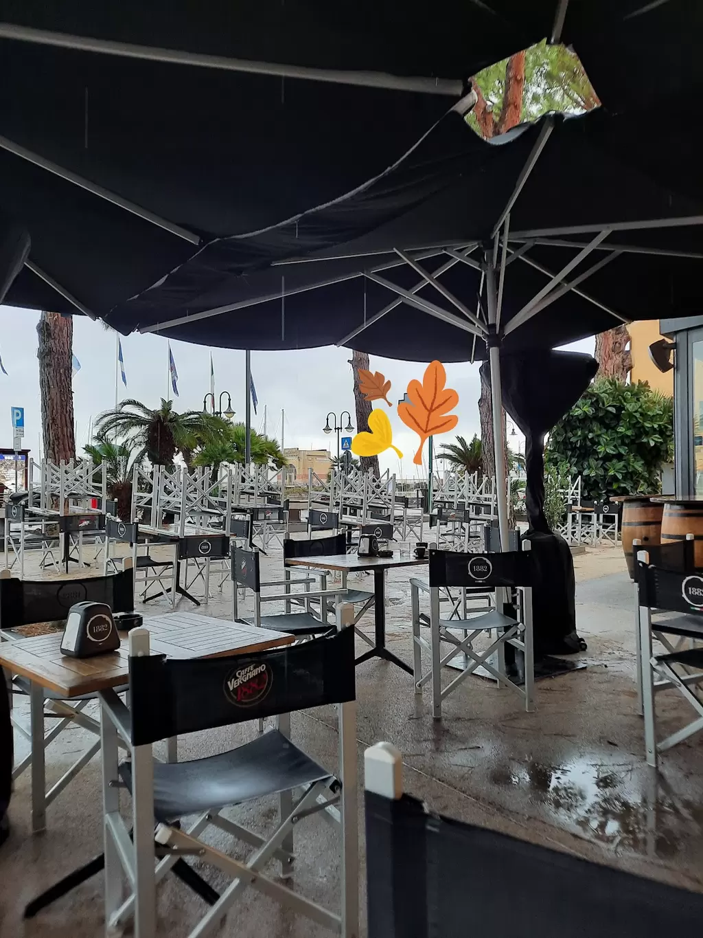 Caffè Vergnano Santa Barbara