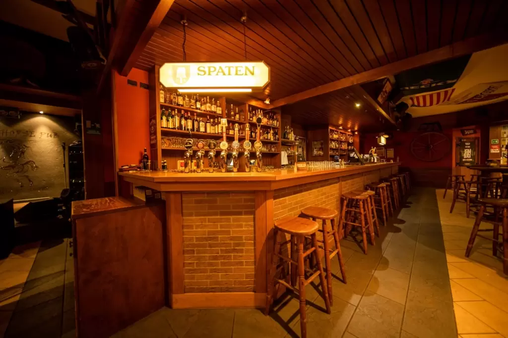 Cena e Tributo ai BON JOVI 