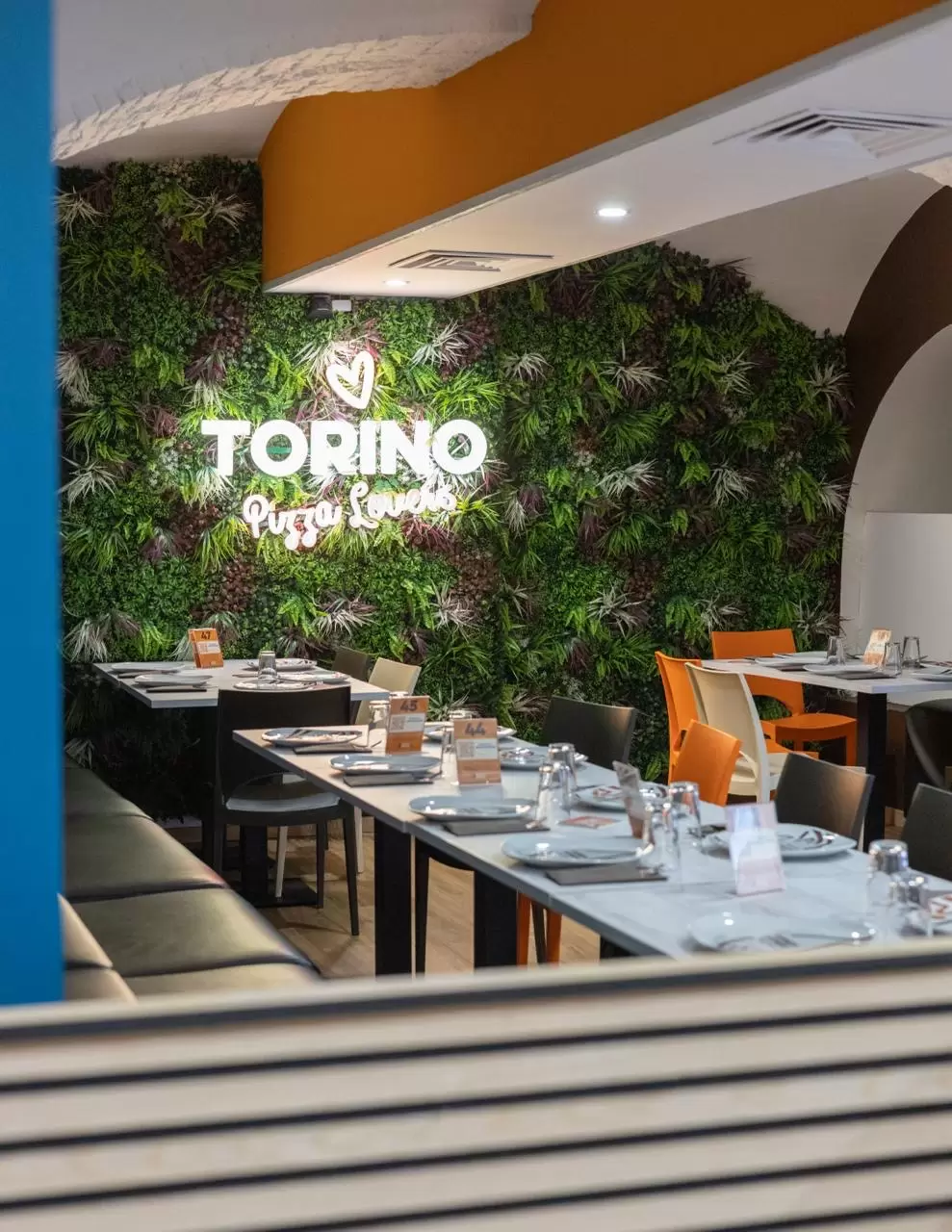😃Rompiamo il ghiaccio...con una Cena!