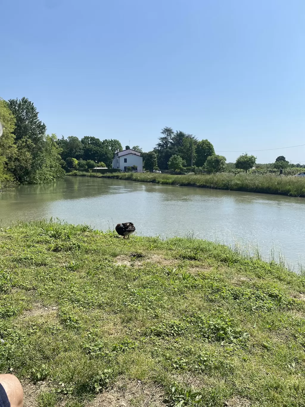 Target Dolo BESAME show ?