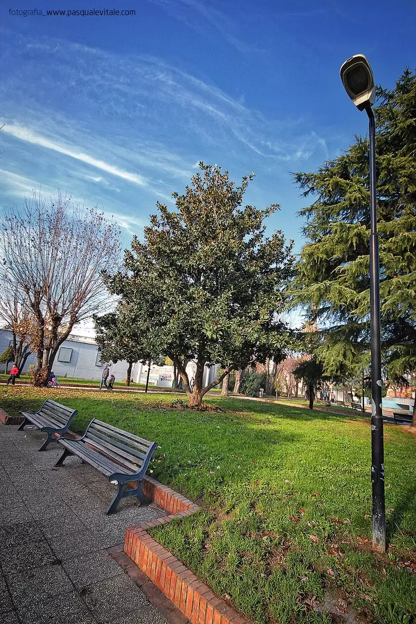 Tablo in zona