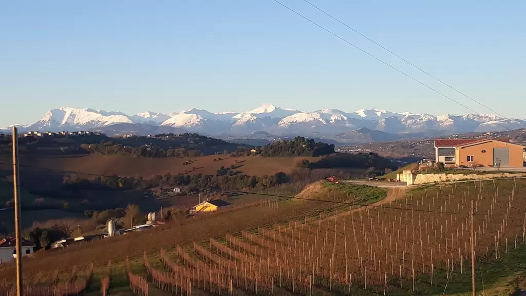 Cantina Ortenzi