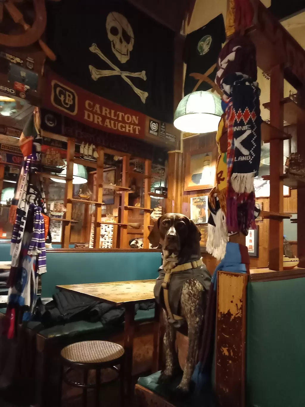 Sport, Fan and Food!