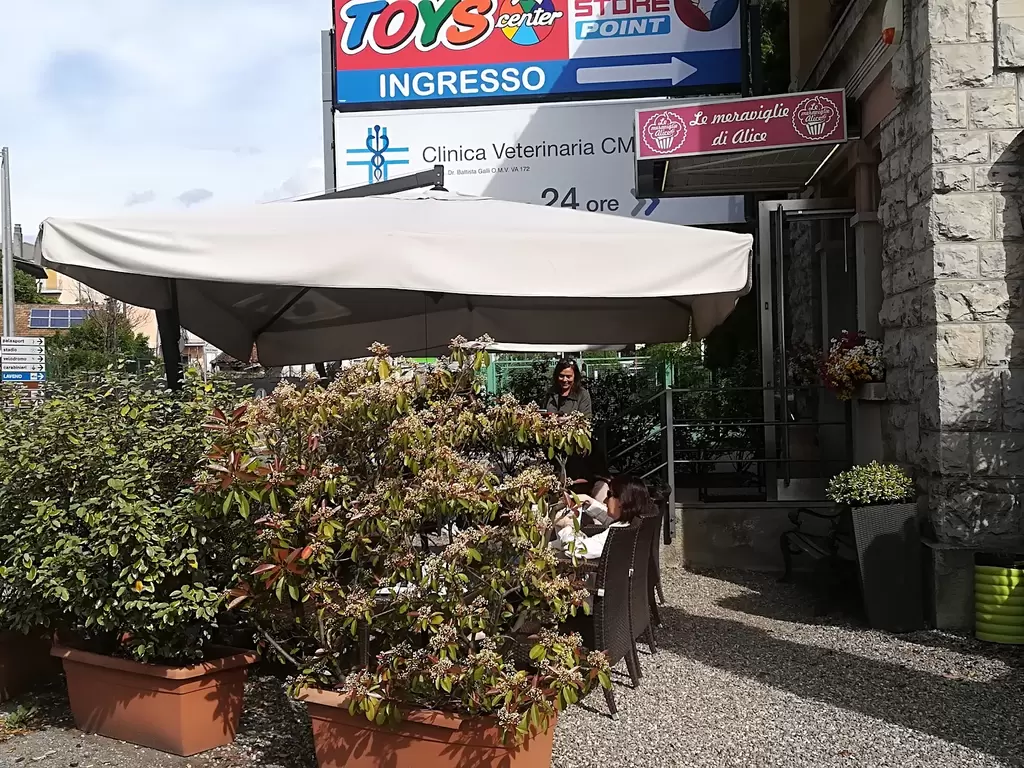 Le Meraviglie di Alice